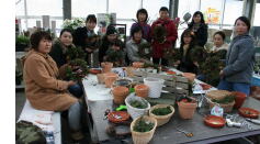 **本物のヒバで作るナチュラルリース講習会**