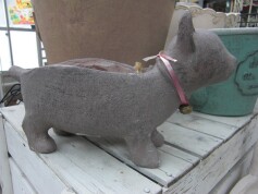 ネコちゃんの鉢