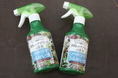 多肉&エアプランツの活力