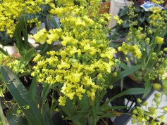 スタッフＮより