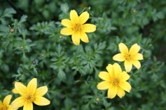 今年も元気よく！