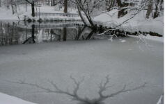 氷のキャンバス