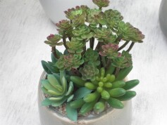 本物かと思いました。