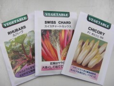 おしゃれ野菜のタネ