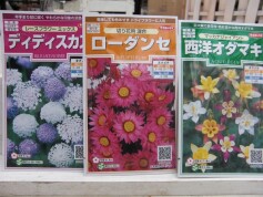 お花のタネも続々！