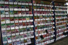 本日オープン！！