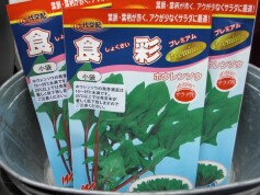 ホウレンソウの種‘食彩プレミアム’