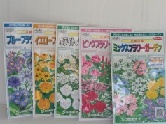 花絵の具　フラワーガーデンシリーズ
