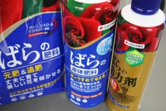 マイローズ シリーズ