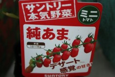 サントリー 本気野菜シリーズより