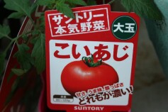 サントリー 本気野菜シリーズ　　その2