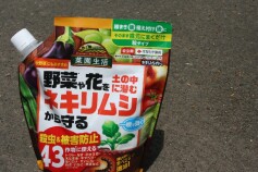野菜や花をネキリムシから守る