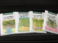 ヘルシーベジタブル！