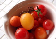 からふるトマトさん