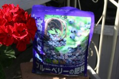 ブルーベリーの肥料