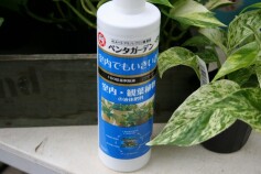 ペンタガーデンValue　室内・観葉植物用