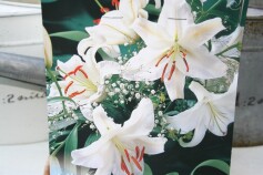 ユリ‘カサブランカ’