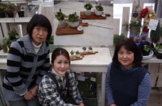 多肉アレンジ講習会