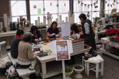 固まる土「ネルソルで作る」多肉アレンジ講習会