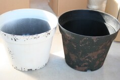 カルナック‘コンポーズポット’