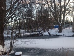 スタッフＲより