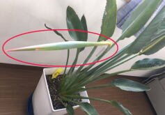 もしかして・・・Part.2