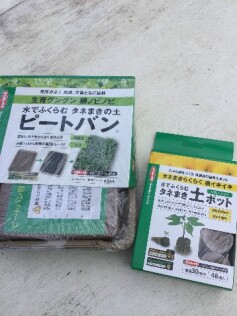 種まき資材‘ピートバン’