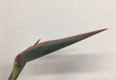 もしかして・・・Part.3