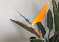 もしかして・・・Part.5