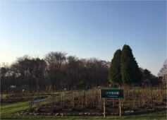 イベント＆セール情報の画像