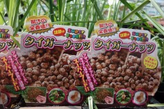 タイガーナッツ