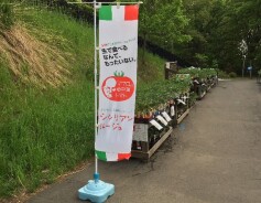 マウロの地中海トマト