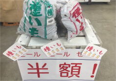 種ばれいしょ半額セール！