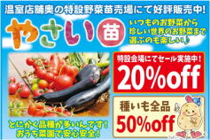 野菜苗SALE！