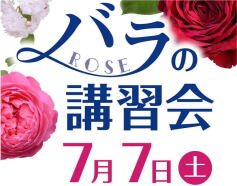 バラの講習会（参加費無料）