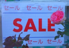 バラ　ＳＡＬＥ！！