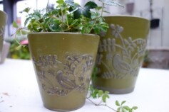 鳥さんのポット☆