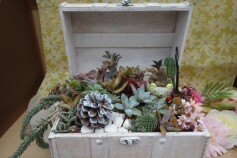 多肉のジュエリーＢＯＸ