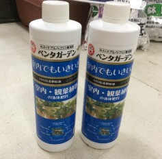 ペンタガーデン