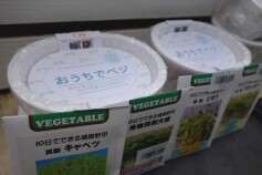 おうちでベジ