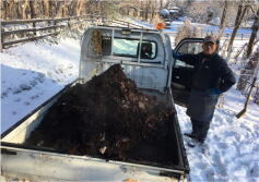 ミスターローズ！