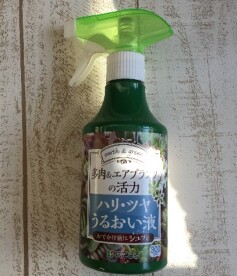 多肉＆エアプランツの活力　ハリ・つや・うるおい液
