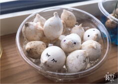 春が待ち遠しいー！