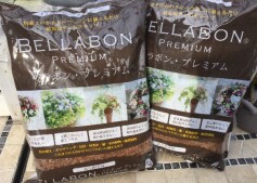 ヤシの実チップ 「ベラボン」