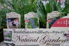ナチュラルガーデン