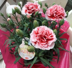 平成の締めくくりに