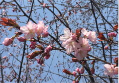 令和元年５月１日