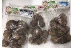 サトイモ入荷しました。