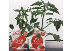 欧州グルメセレクト