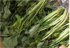 ベニハルカ再入荷！